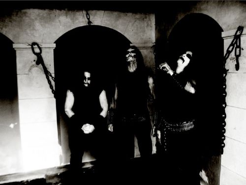 Infestus