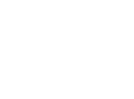 Netherbird