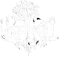Yggdrasil