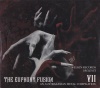 The Euphony Fusion VII