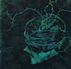 Instinct: Decay
