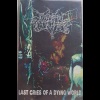 Last Cries of a Dying World (demo)