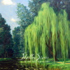 The Tales Told Under the Willow
