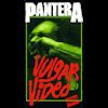 Vulgar Video (video)