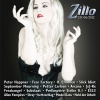 Zillo CD-06/2012