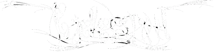 Eyelessight