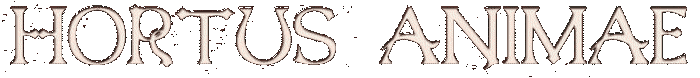 Hortus Animae